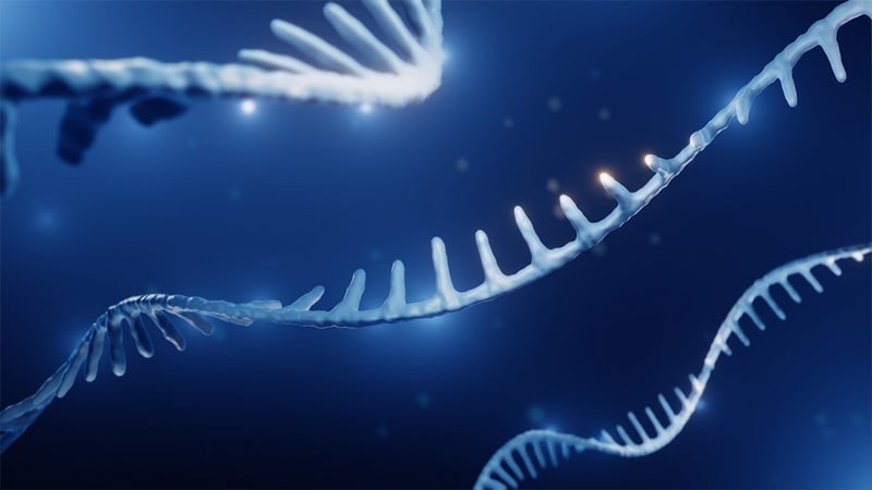 mRNA 疗法的兴起